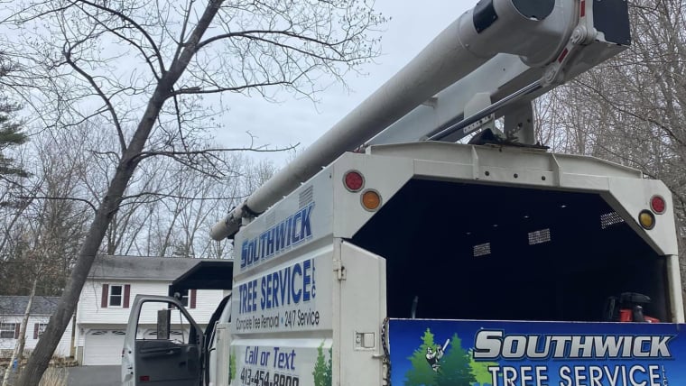 Tree Removal